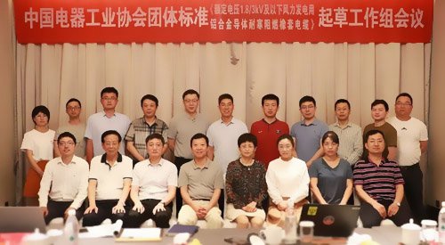 中國電器工業(yè)協(xié)會與遠東電纜起草工作會