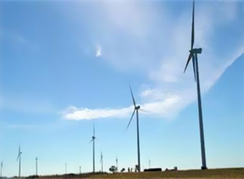 Genneia������͢�L(f��ng)늈��@2600�f��Ԫ�J��