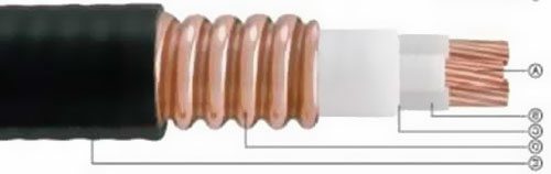 �c�S��|-���ԵV���|(zh��)��|